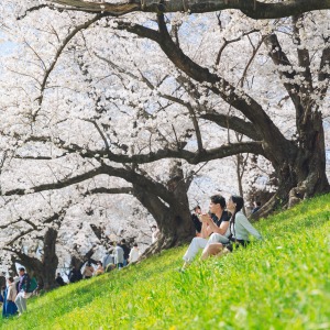 Kyoto couple photoshoot spring