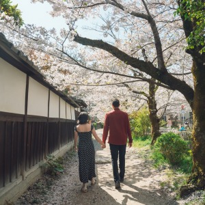 cherry blossom photoshoot kyoto